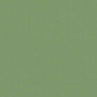 502V2-2158C verde muschio